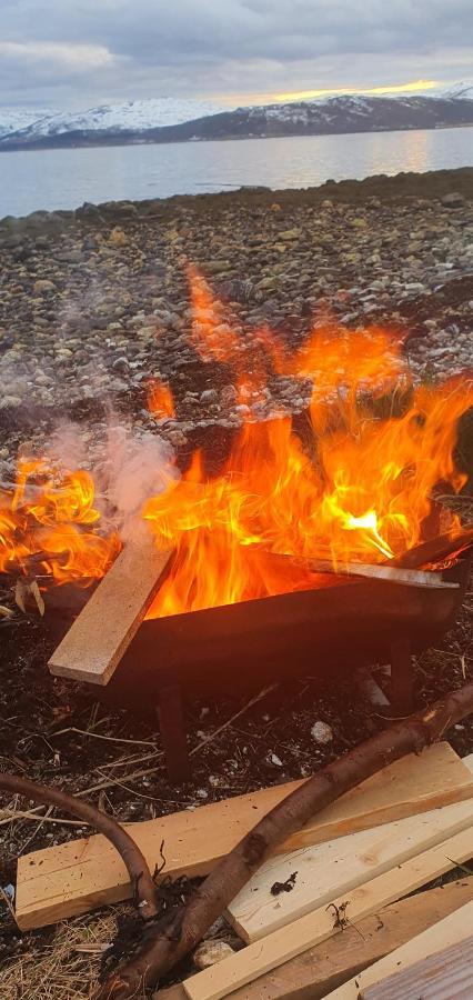 Nydelig Utsikt, Egen Leilighet Med To Parkeringer Movik  Luaran gambar