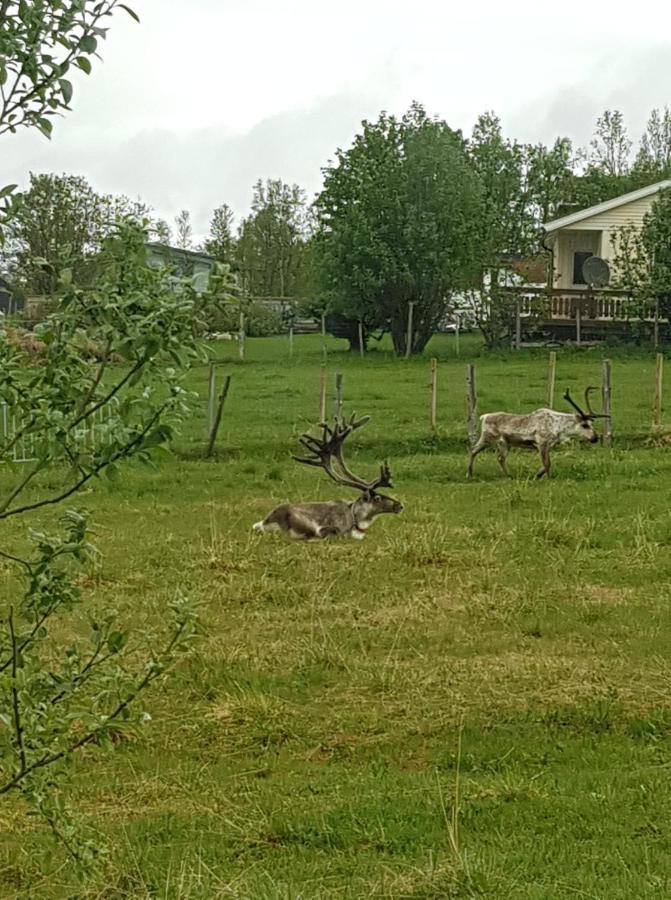 Nydelig Utsikt, Egen Leilighet Med To Parkeringer Movik  Luaran gambar